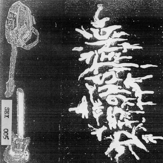 The Disgusting - Demo Cassette